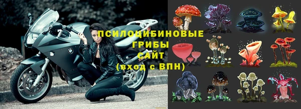 Альфа ПВП Кукмор