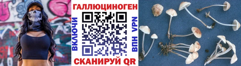 Купить закладки  Борисоглебск  Галлюциногенные грибы GOLDEN TEACHER 